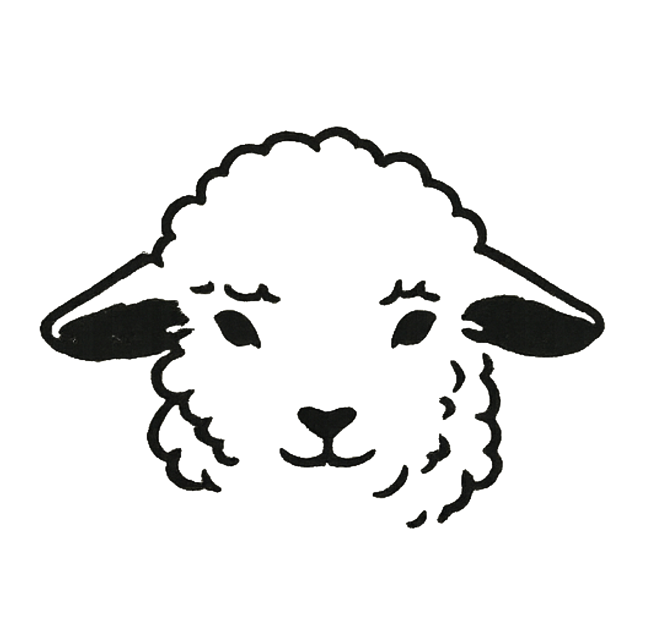 agnuscollective.com